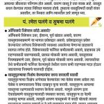 lokmat article